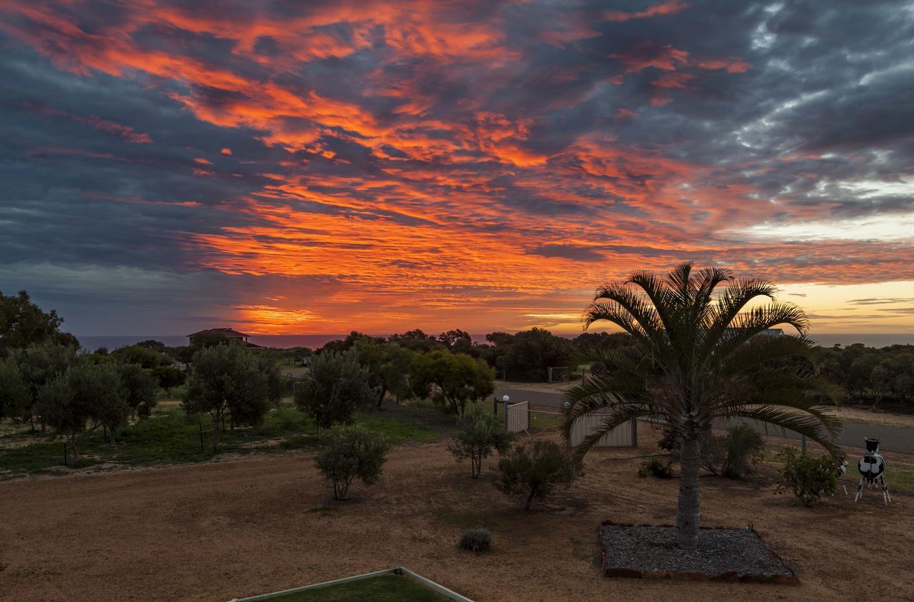 The Two Tin Cow B&B Kalbarri Exteriér fotografie